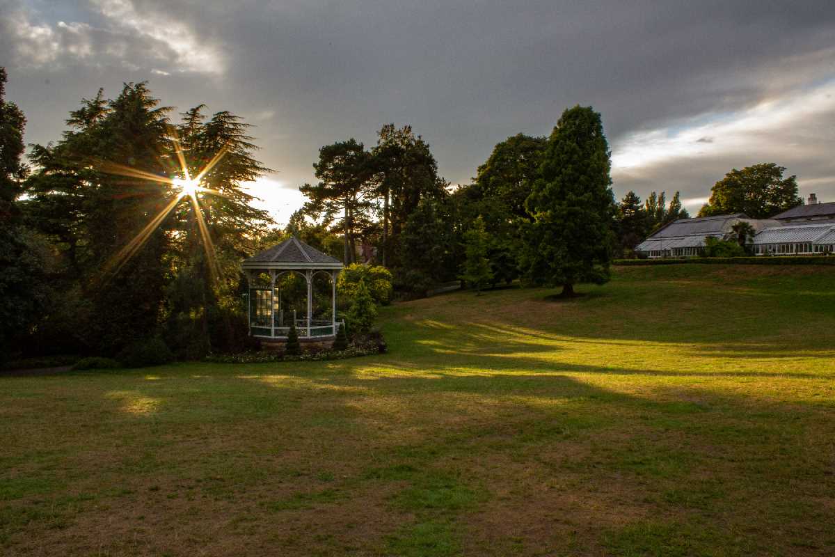 The sun comes out after the rain at the Birmingham Botanical Gardens.